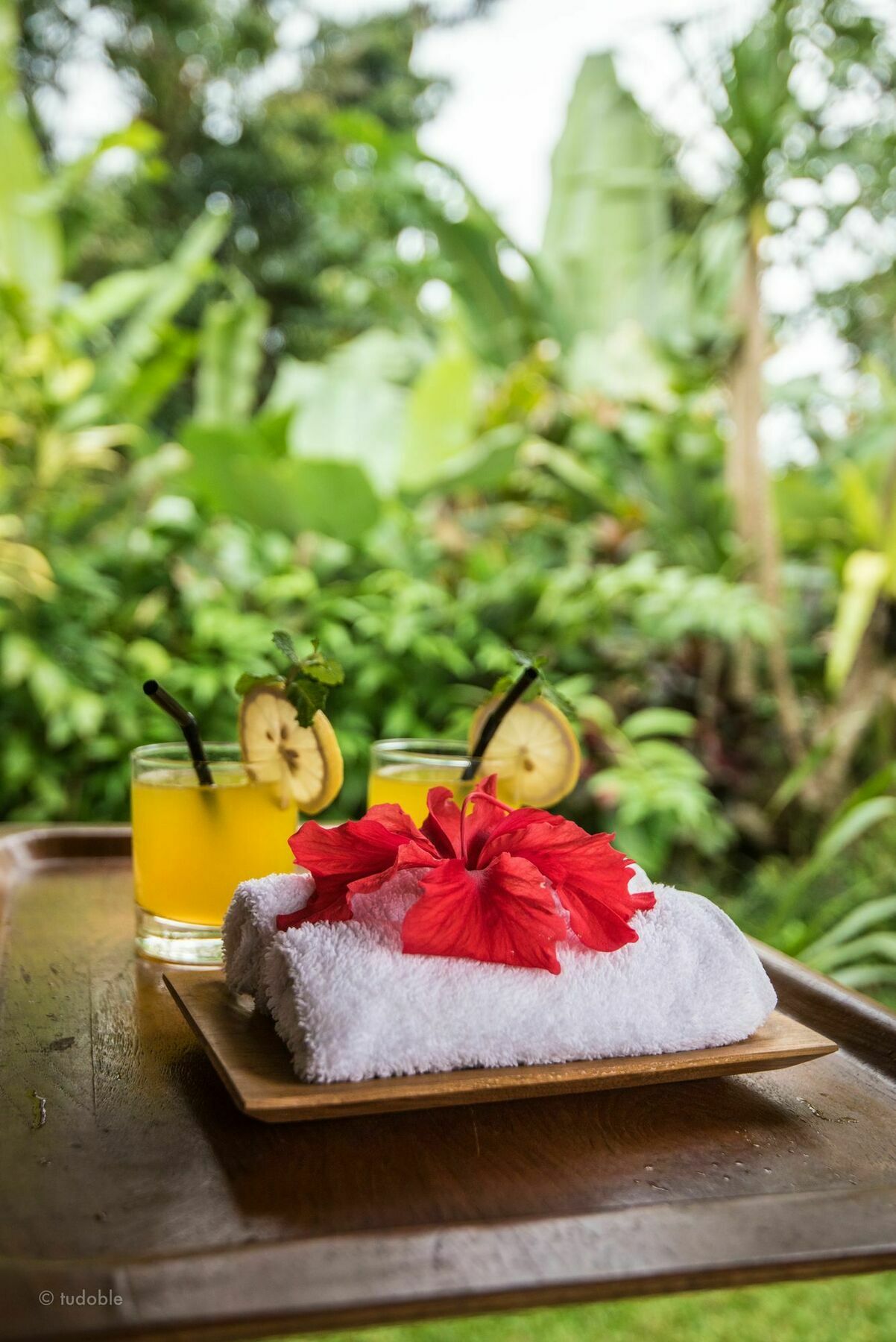 Bunut Garden Luxury Private Villa Ubud Eksteriør bilde